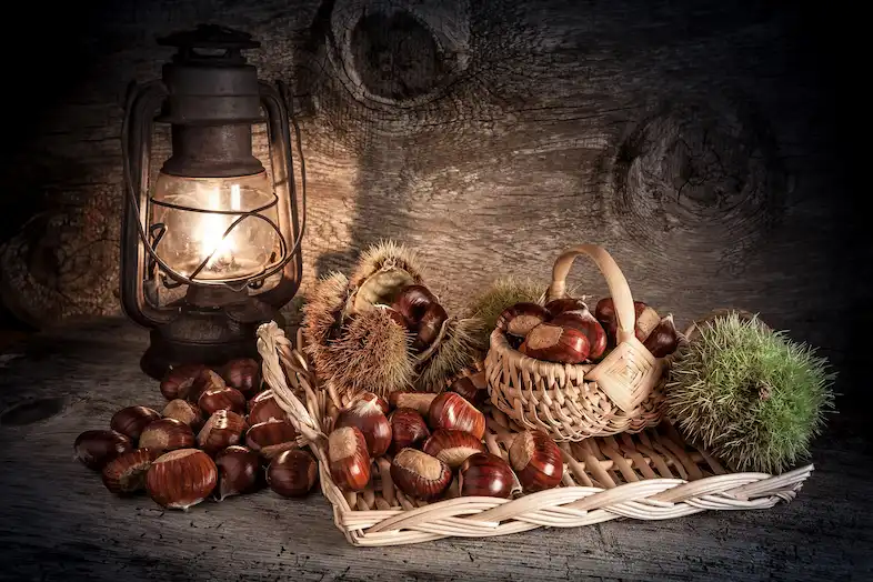 castagne in Liguria